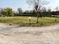 Terreno Artigianale in vendita a Mantova