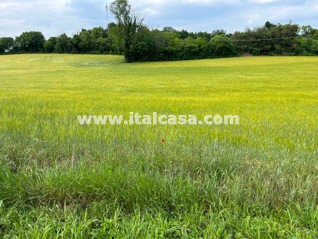 Terreno Agricolo in vendita a Castiglione delle Stiviere
