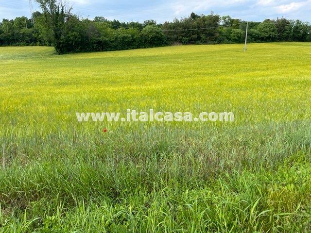 Terreno Agricolo in vendita a Castiglione delle Stiviere