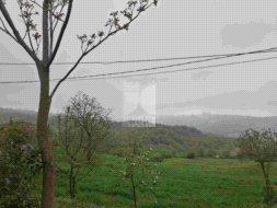 Casa Unifamiliare in vendita a Vernasca