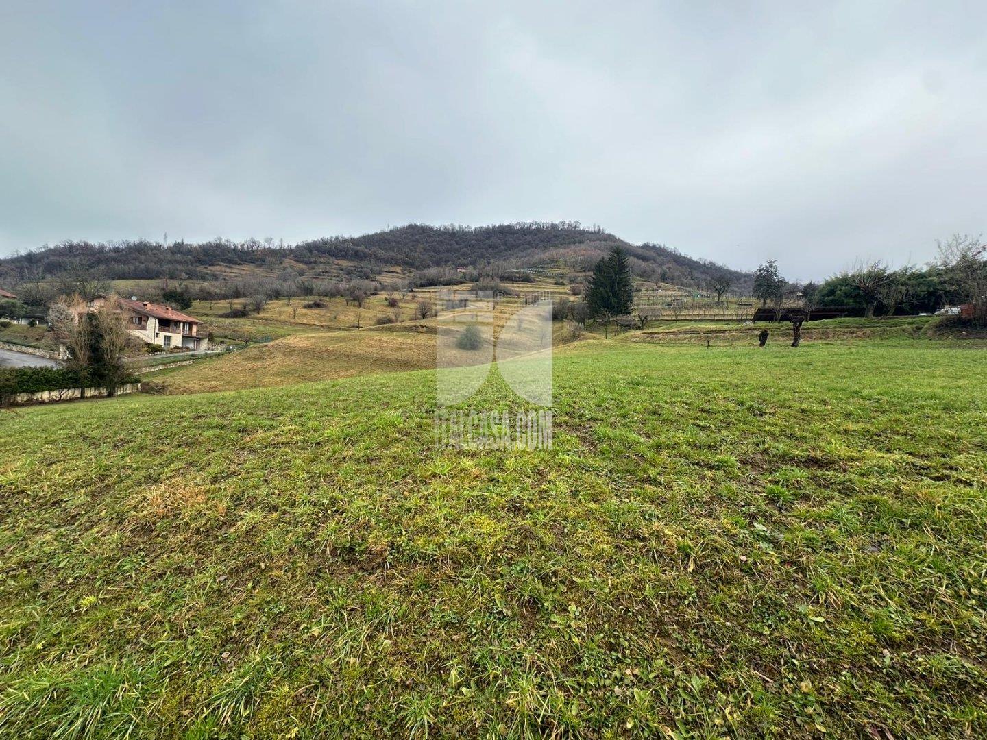 Appartamento in vendita a Nembro