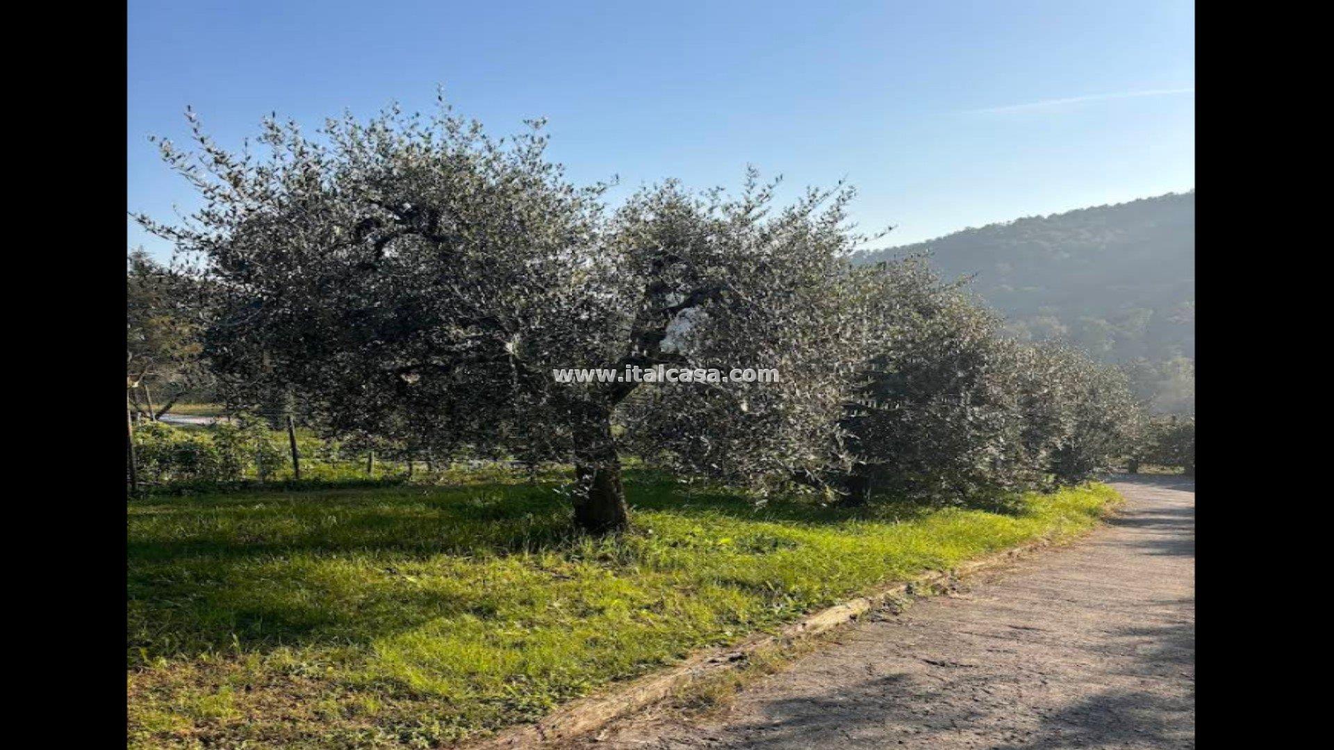 Appartamento in vendita a Cenate Sotto