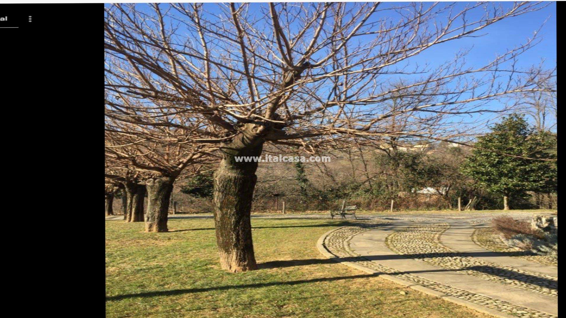 Appartamento in vendita a Cenate Sotto