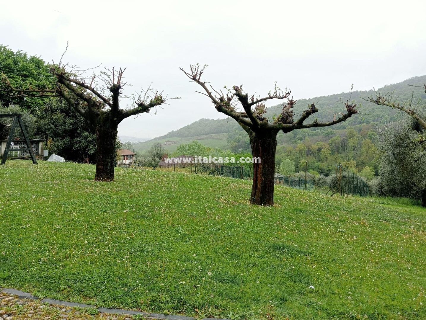 Appartamento in vendita a Cenate Sotto