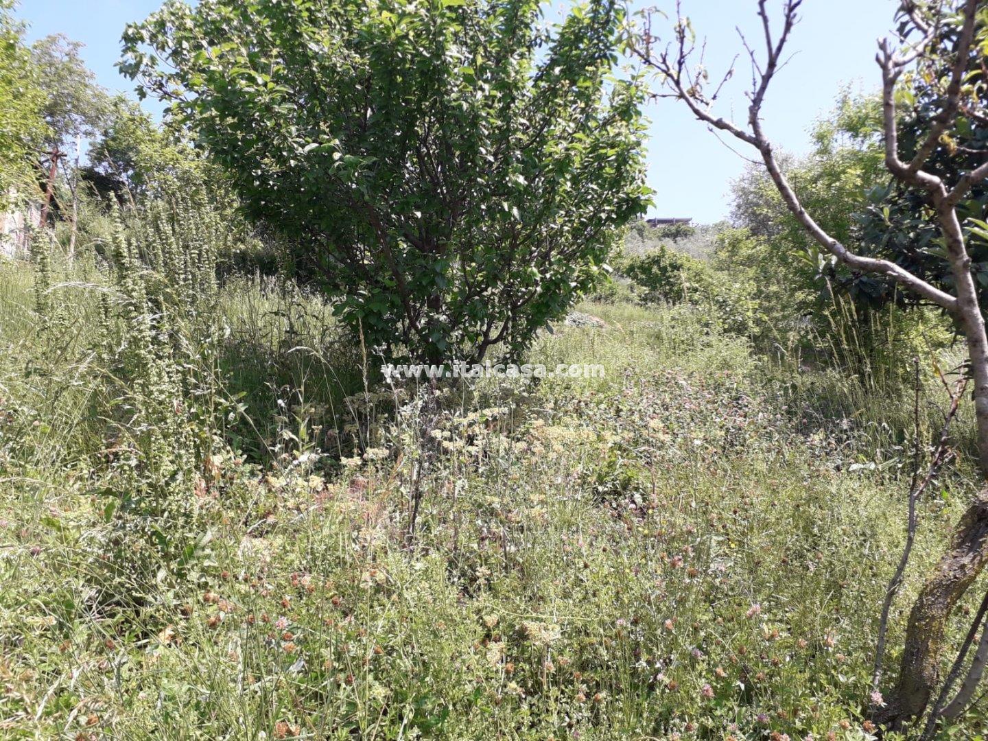 Terreno Agricolo in vendita a Cenate Sotto