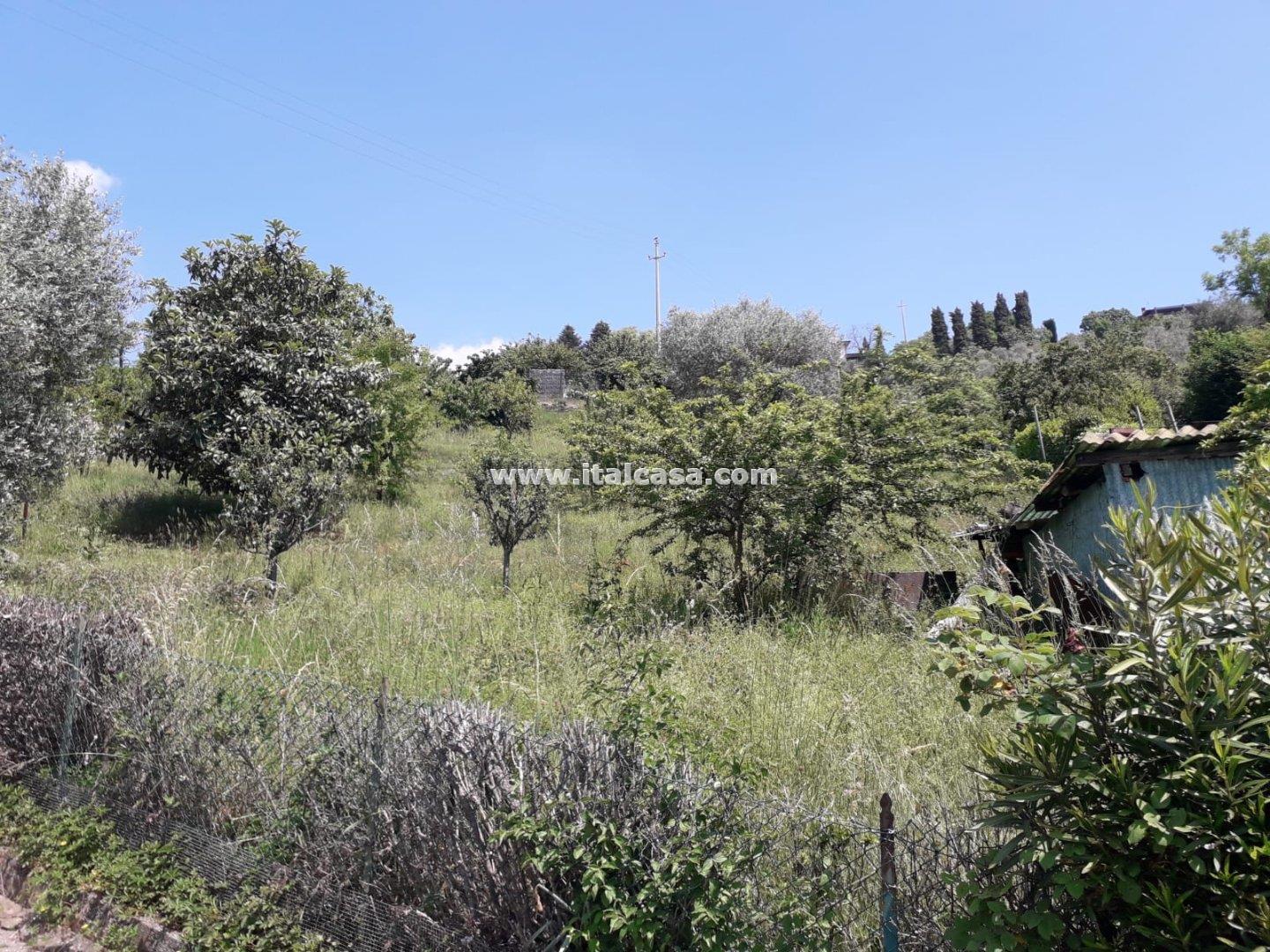 Terreno Agricolo in vendita a Cenate Sotto