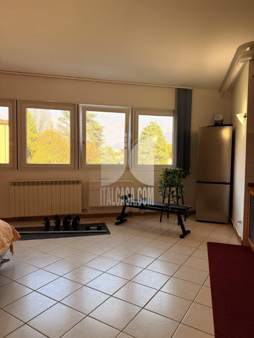 Appartamento in vendita a Alzano Lombardo