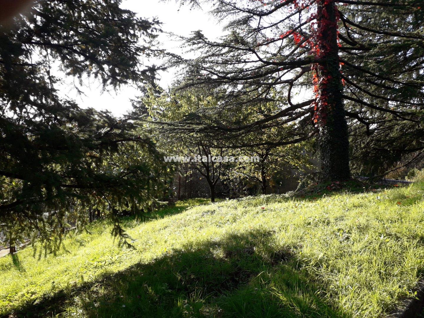 Terreno Residenziale in vendita a Alzano Lombardo