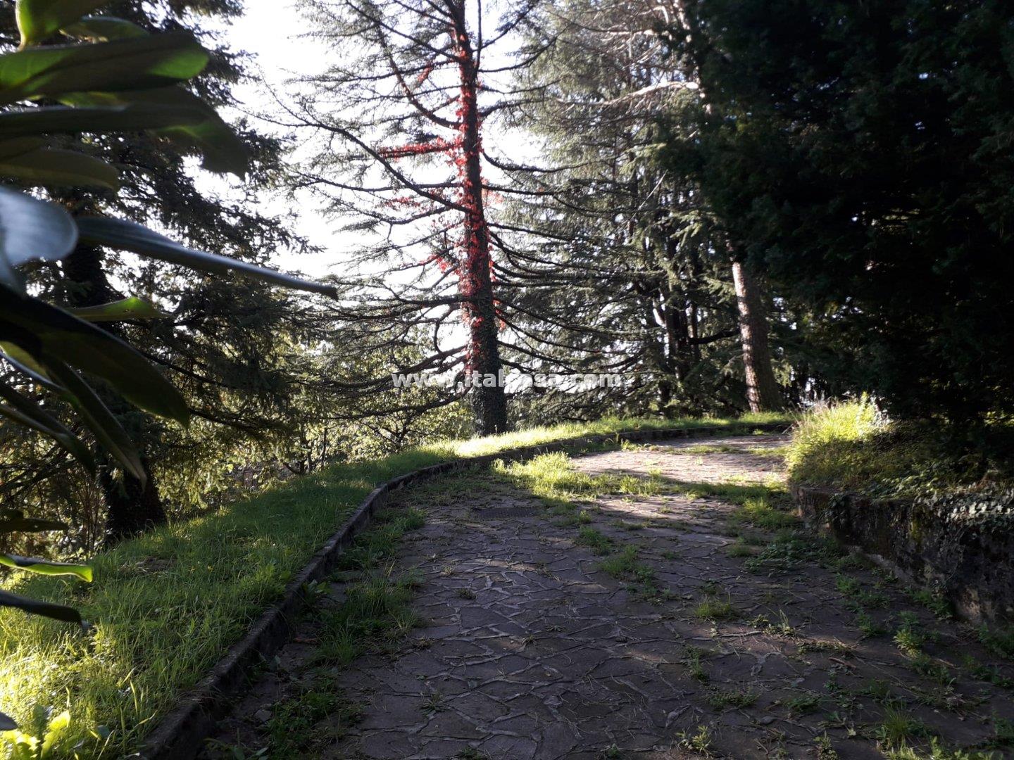 Terreno Residenziale in vendita a Alzano Lombardo