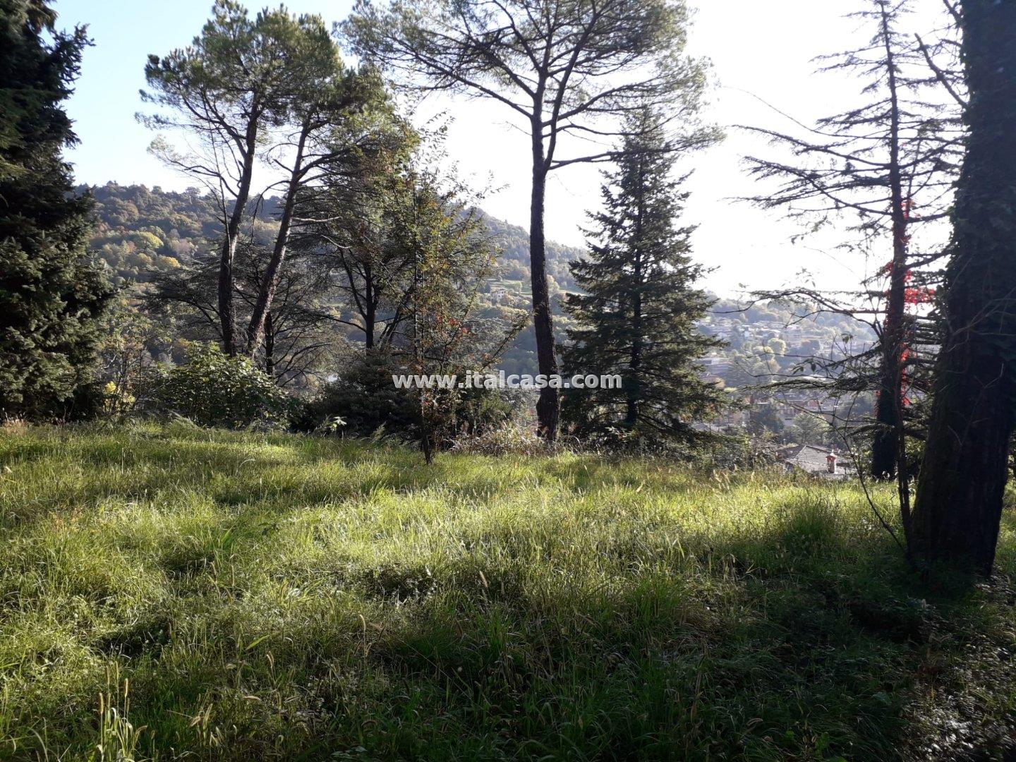 Terreno Residenziale in vendita a Alzano Lombardo