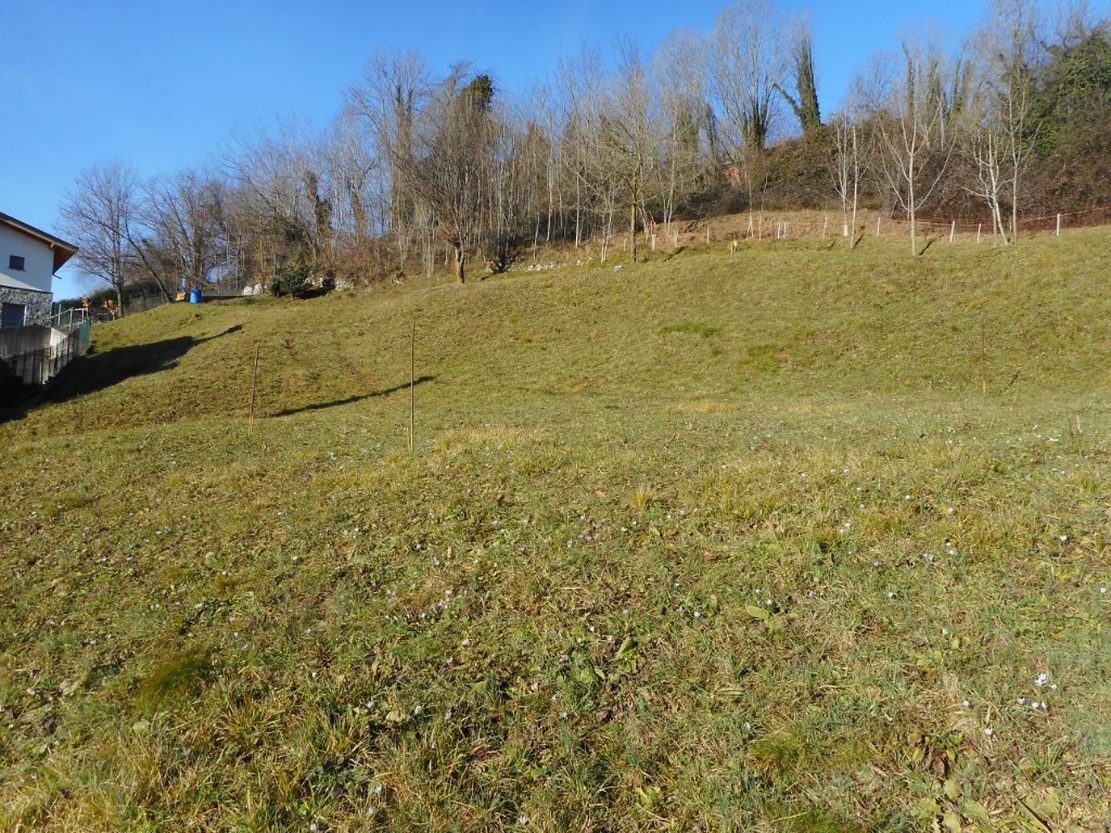 Terreno Residenziale in vendita a Alzano Lombardo