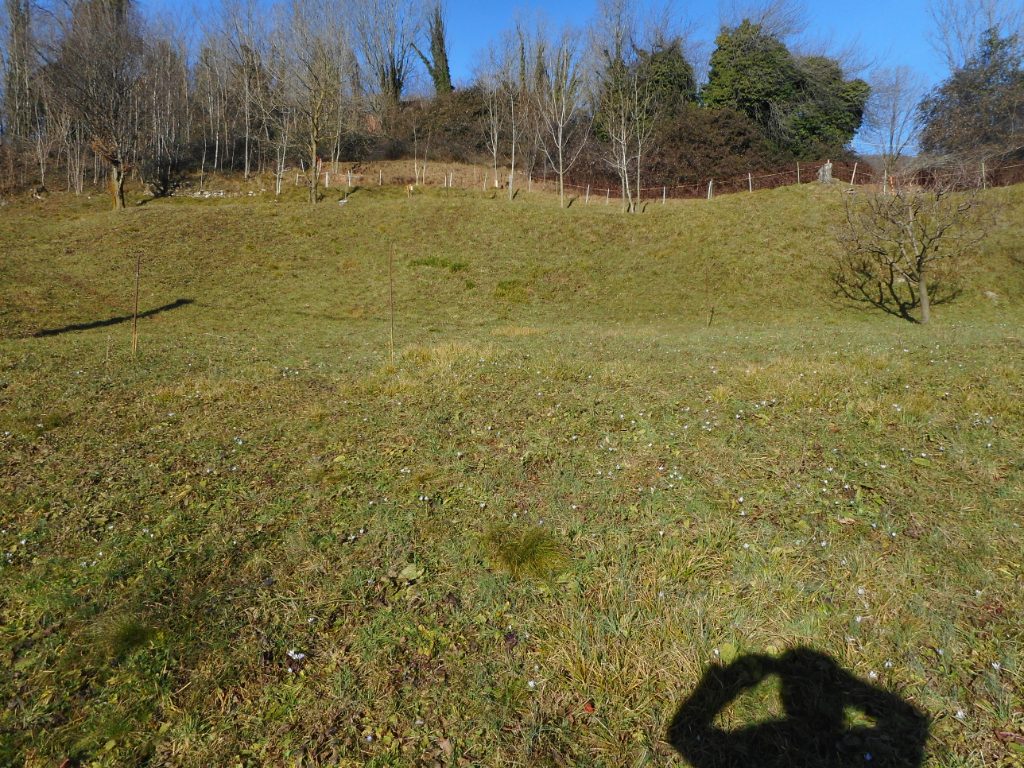 Terreno Residenziale in vendita a Alzano Lombardo