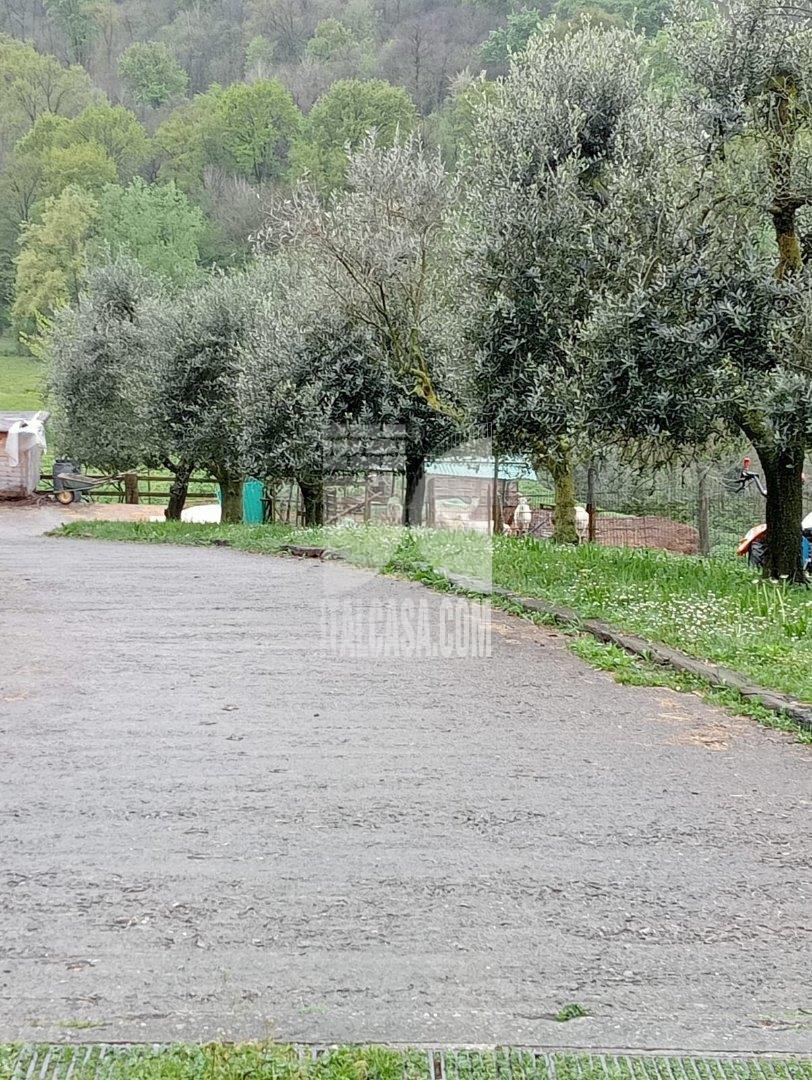 Baita in vendita a Cenate Sotto