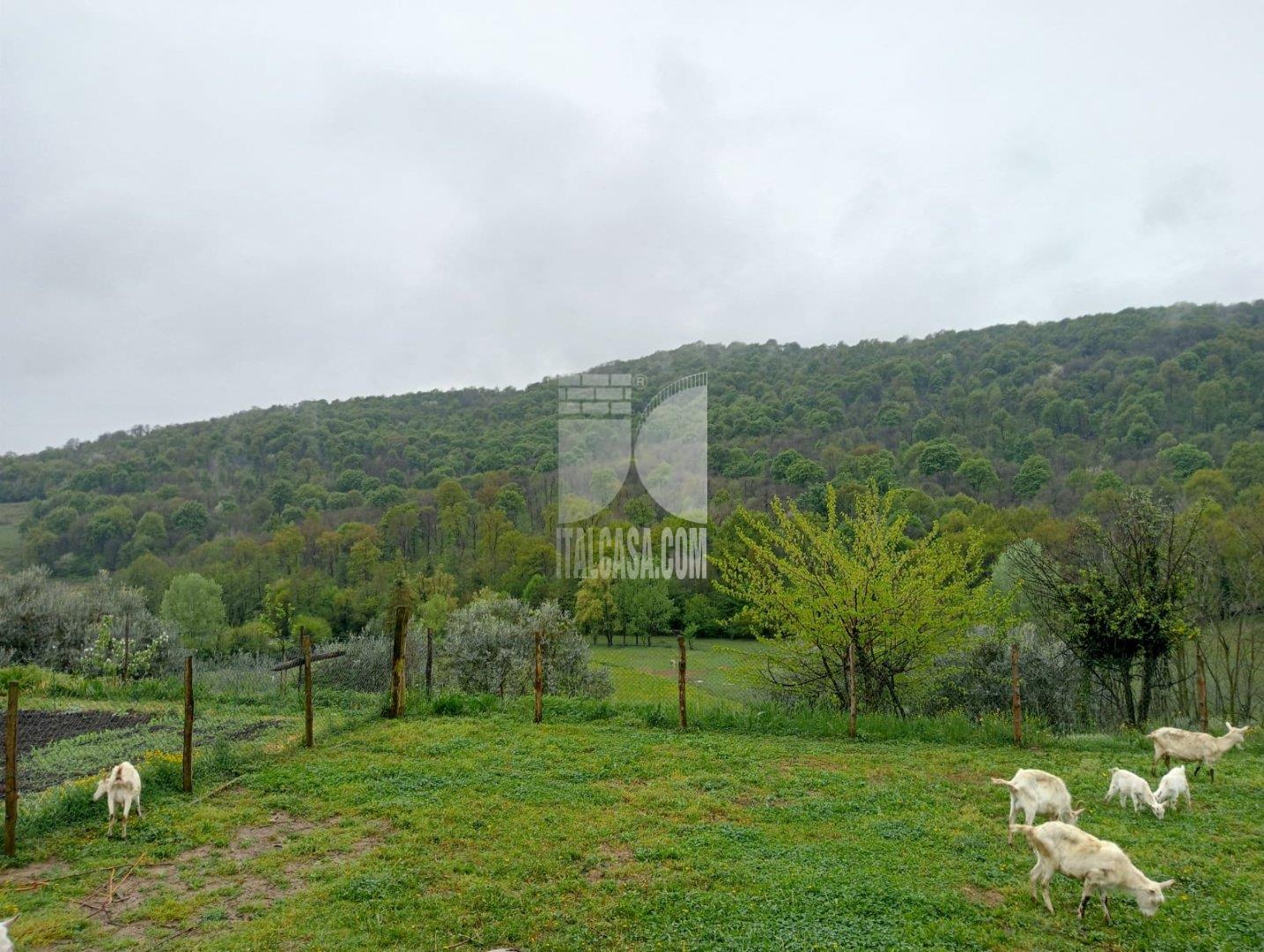 Baita in vendita a Cenate Sotto