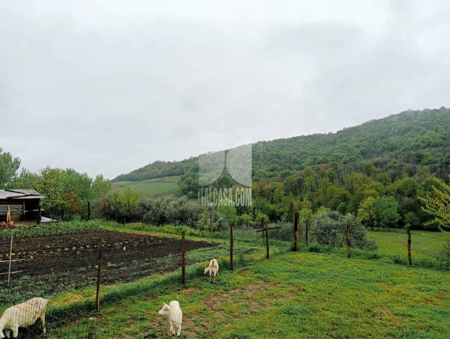 Baita in vendita a Cenate Sotto