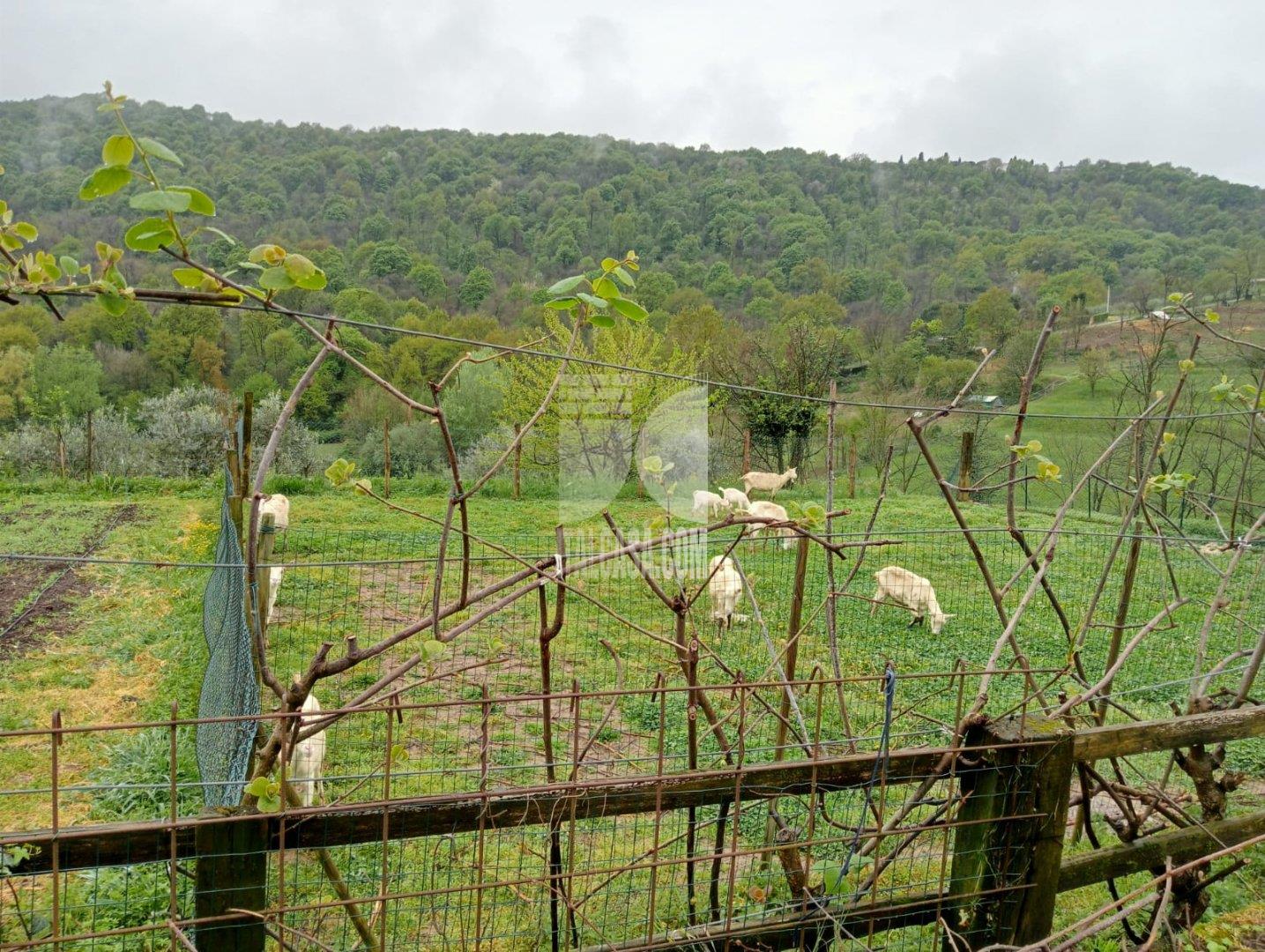Baita in vendita a Cenate Sotto