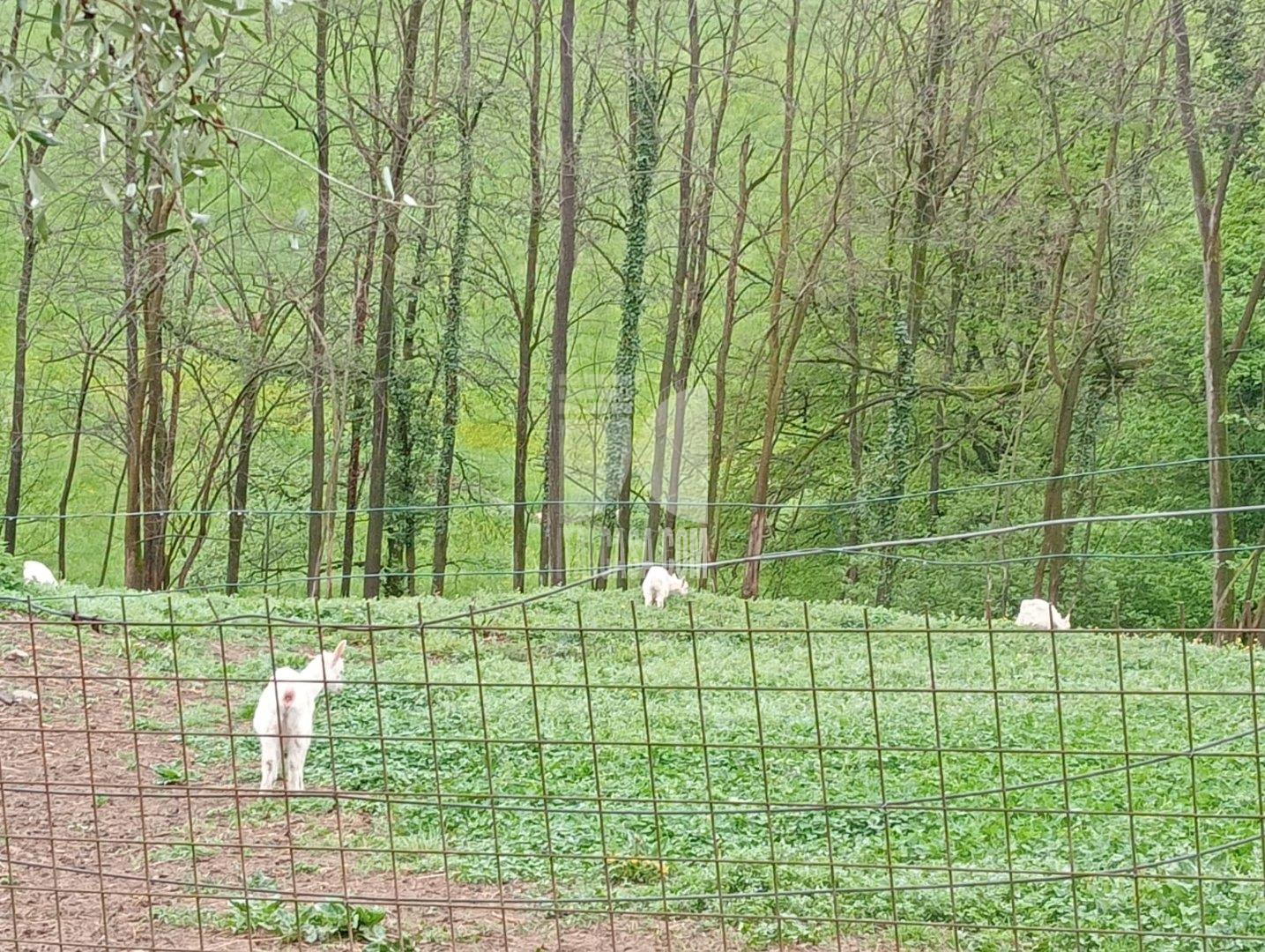 Baita in vendita a Cenate Sotto