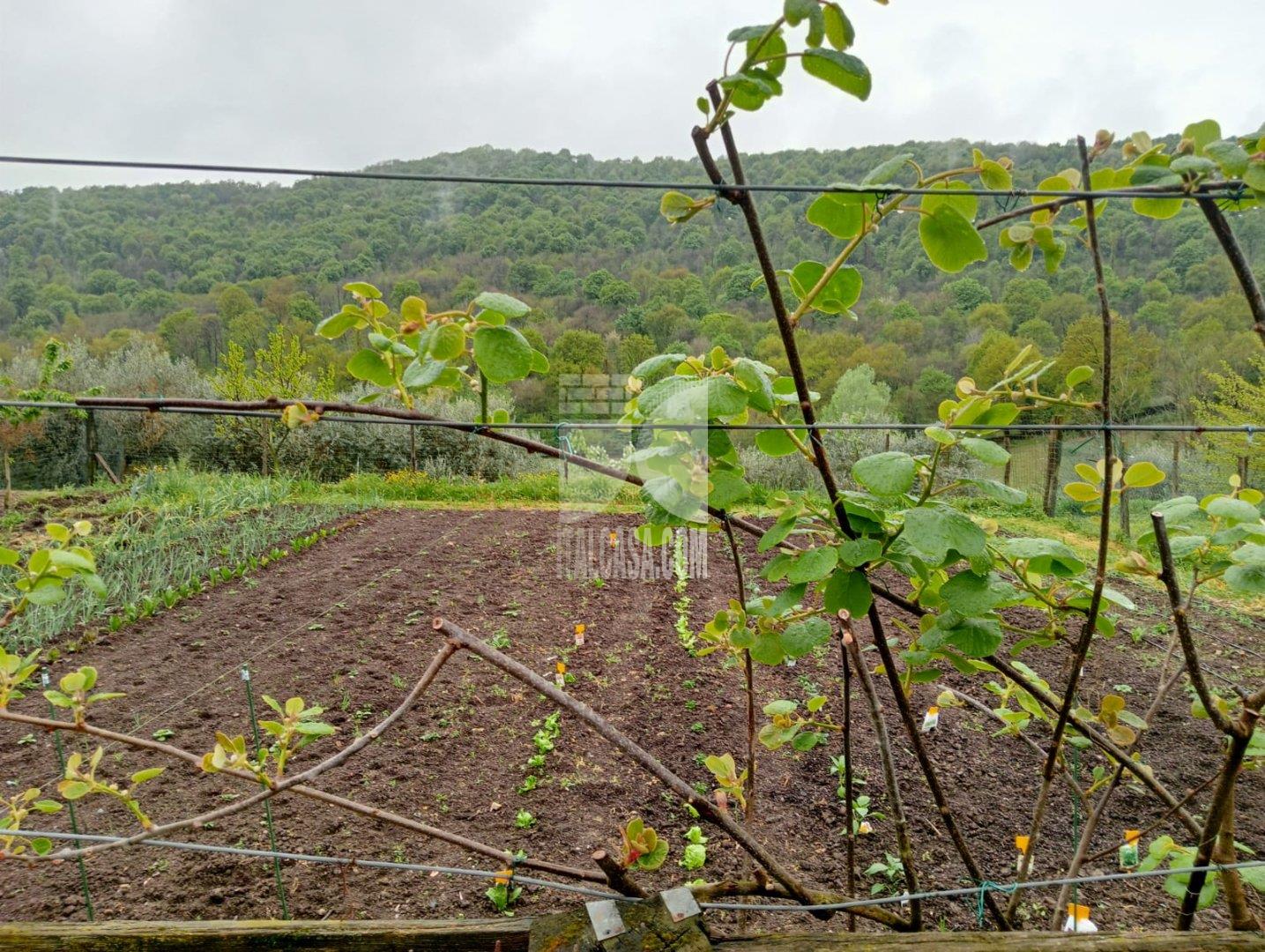 Baita in vendita a Cenate Sotto