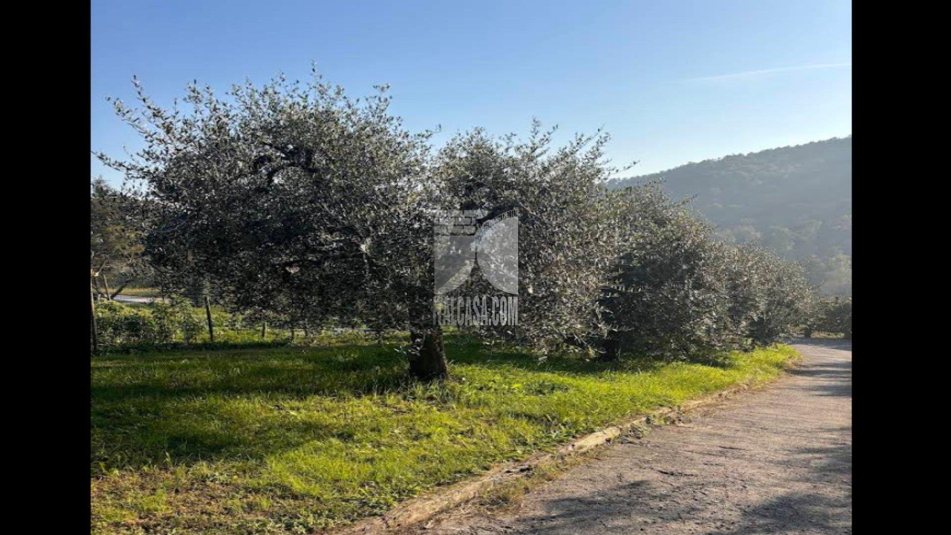 Baita in vendita a Cenate Sotto