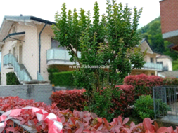 Appartamento in vendita a Villa di Serio