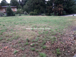 Terreno Residenziale in vendita a Alzano Lombardo