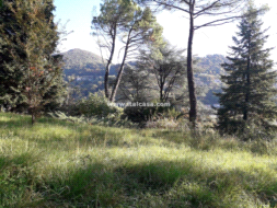 Terreno Residenziale in vendita a Alzano Lombardo