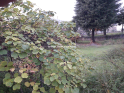 Terreno Residenziale in vendita a Cenate Sotto