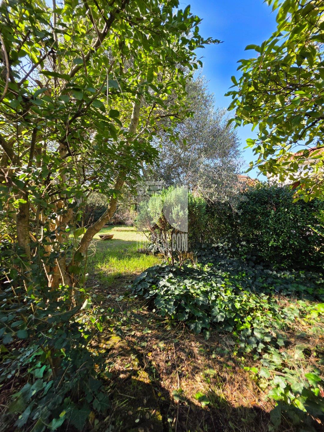 Villa Unifamiliare in vendita a Borgo Virgilio