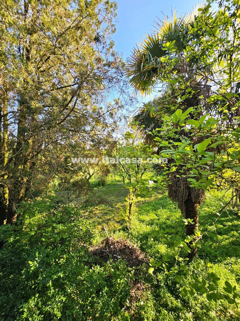 Villa Unifamiliare in vendita a Bagnolo San Vito