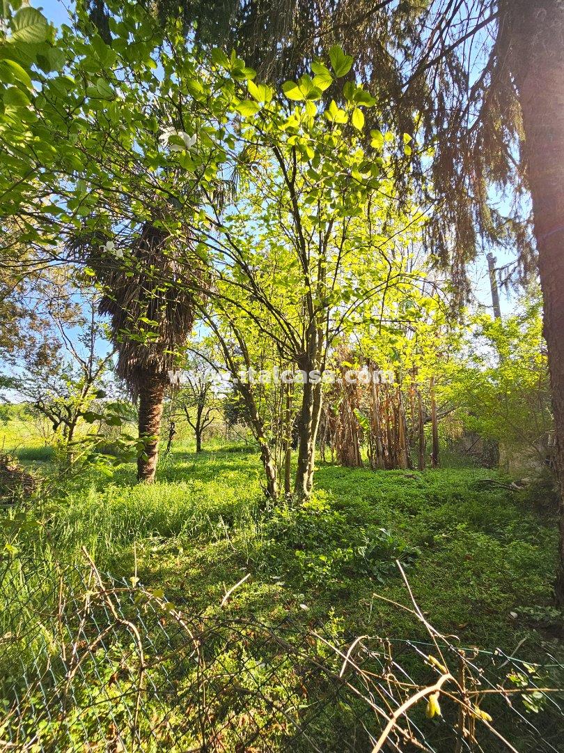 Villa Unifamiliare in vendita a Bagnolo San Vito