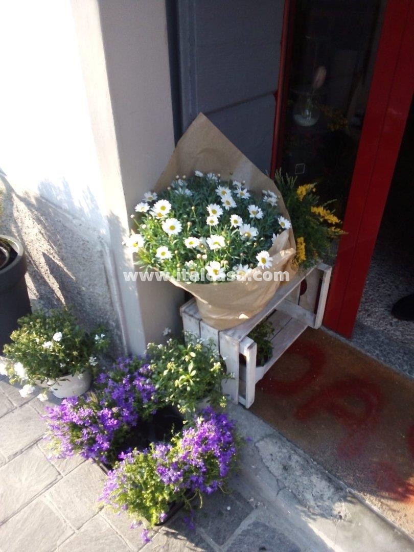 Negozio in vendita a Brignano Gera d