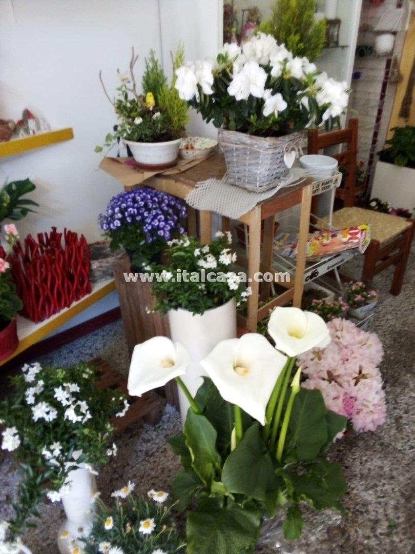 Negozio in vendita a Brignano Gera d