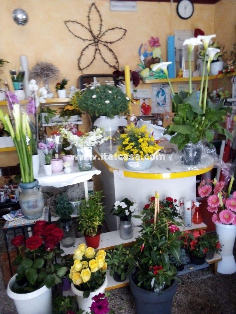 Negozio in vendita a Brignano Gera d