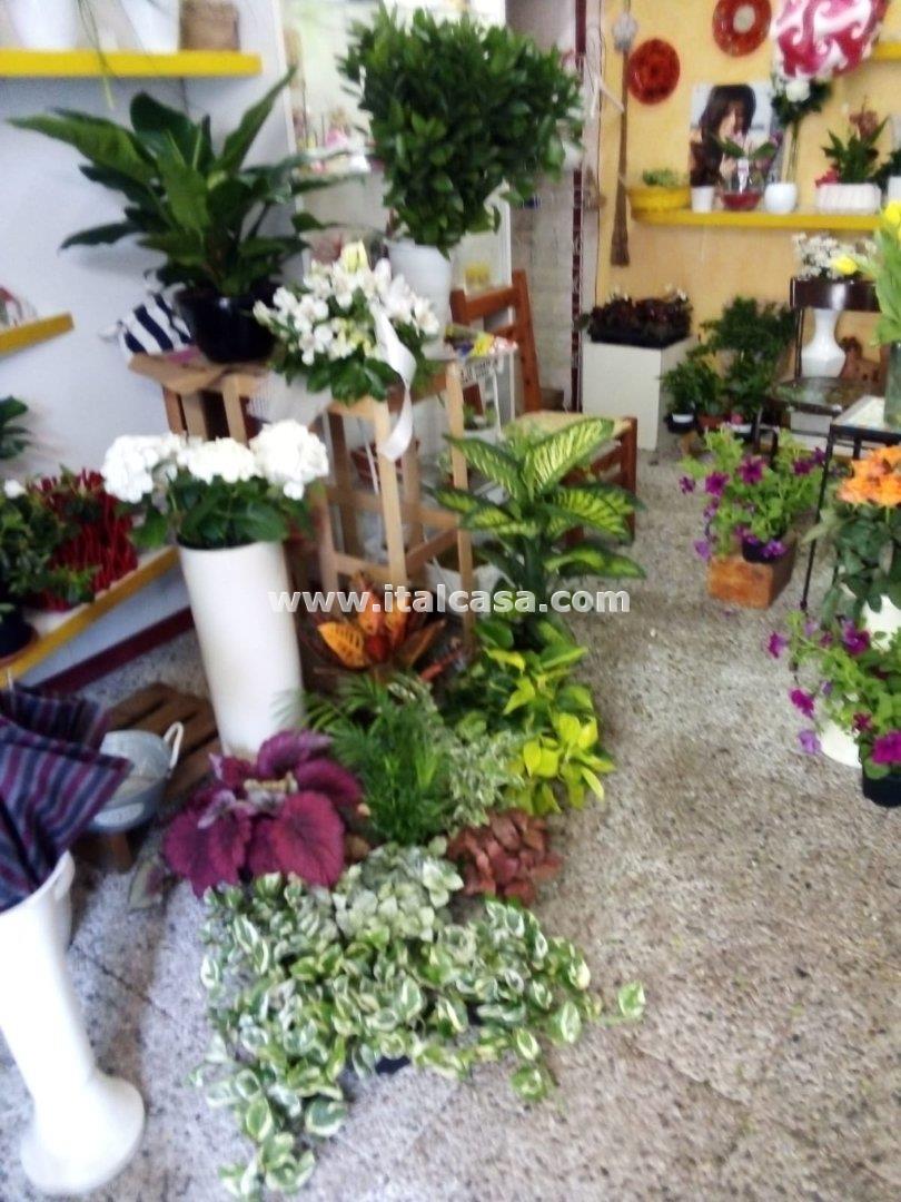 Negozio in vendita a Brignano Gera d