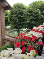 Villa a schiera in vendita a Pagazzano