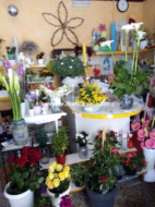Negozio in vendita a Brignano Gera d'Adda
