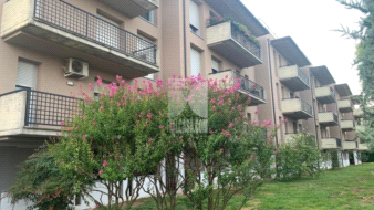 Appartamento in vendita a Calvenzano
