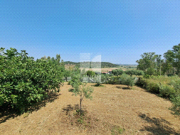 Appartamento in vendita a Crotone