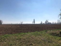 Terreno Agricolo in vendita a Curtatone