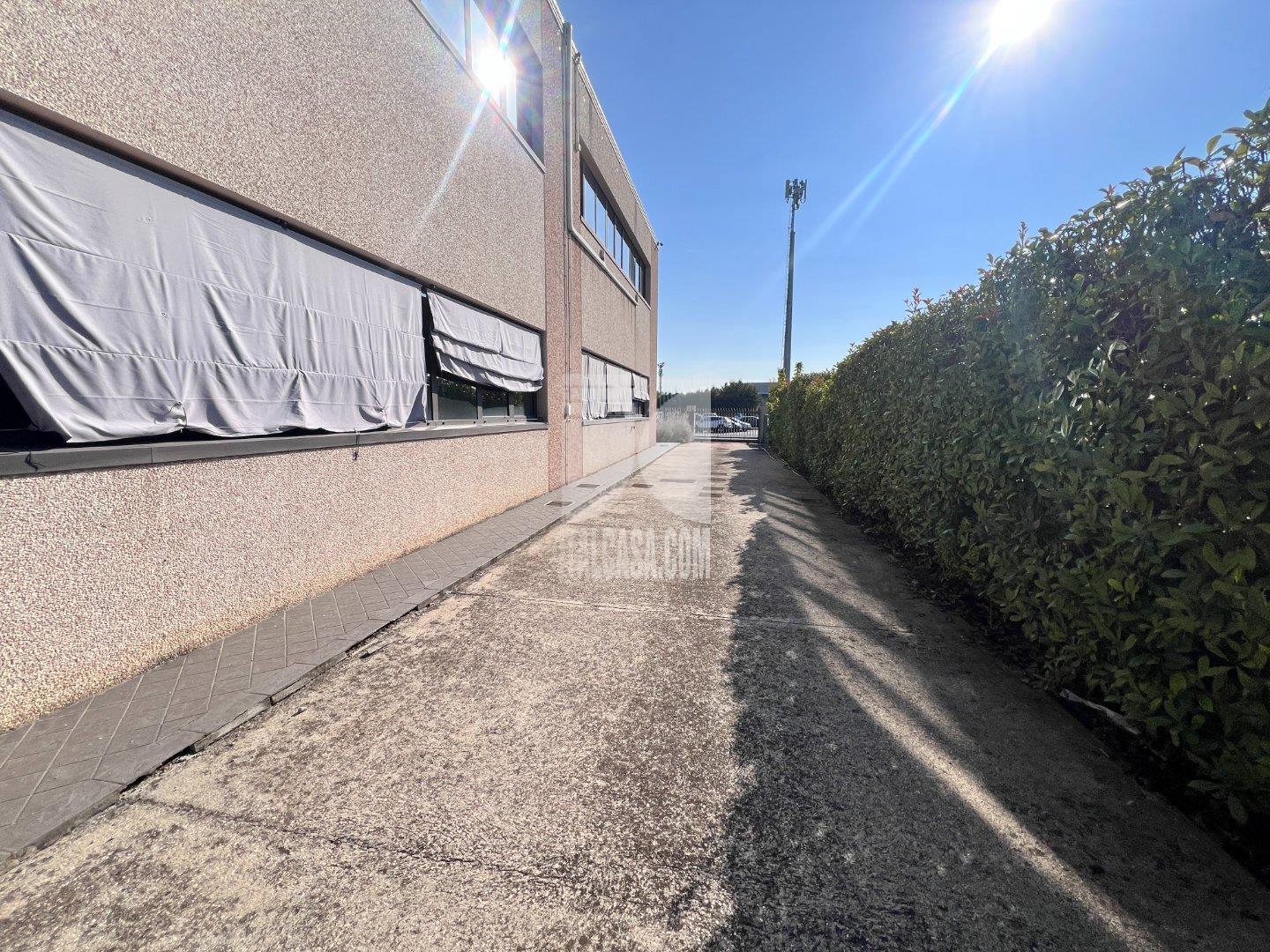 Ufficio in affitto a Curtatone