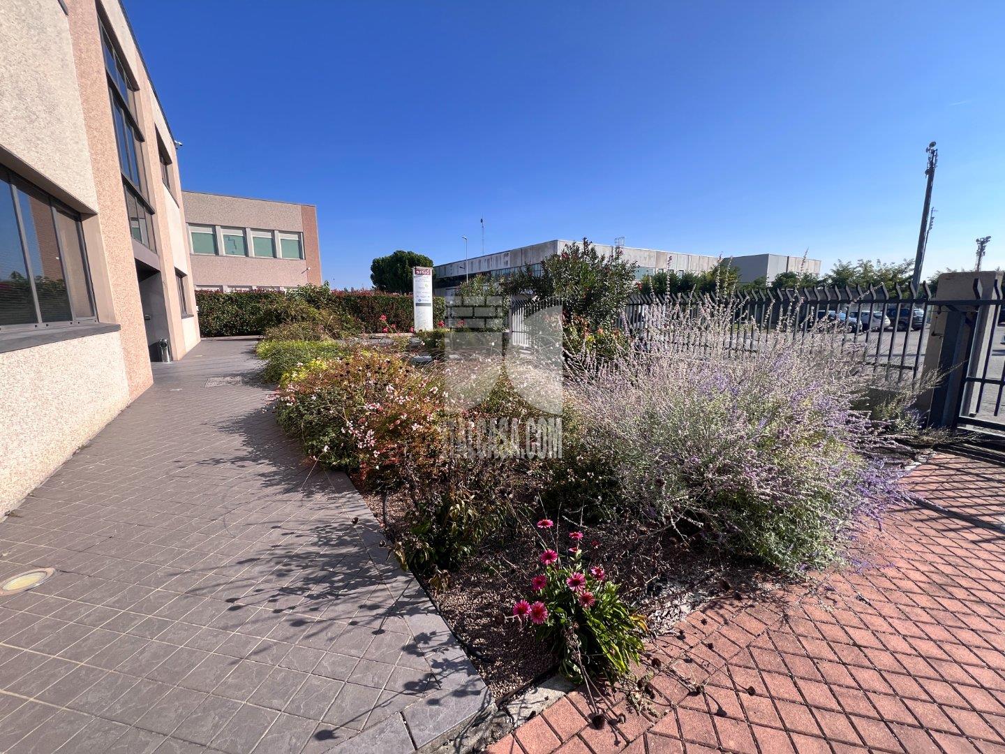 Ufficio in affitto a Curtatone