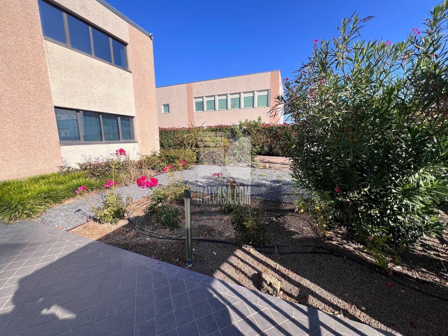 Ufficio in affitto a Curtatone