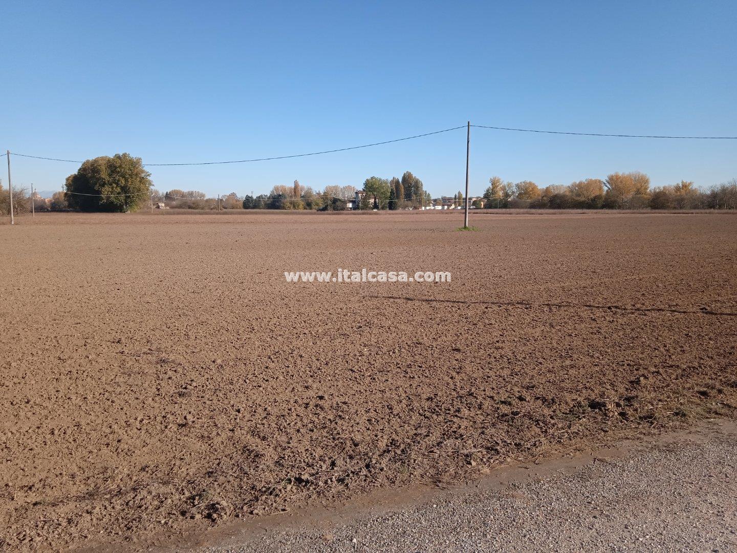 Terreno Agricolo in vendita a Mantova