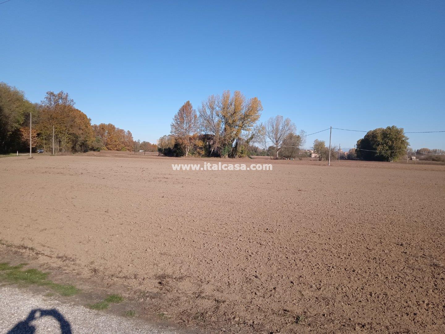 Terreno Agricolo in vendita a Mantova