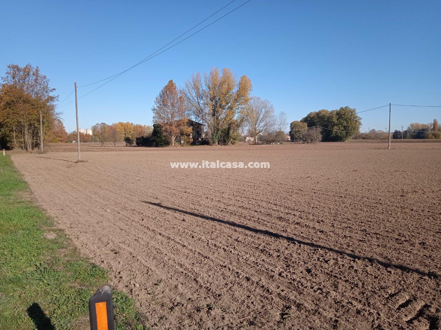 Terreno Agricolo in vendita a Mantova
