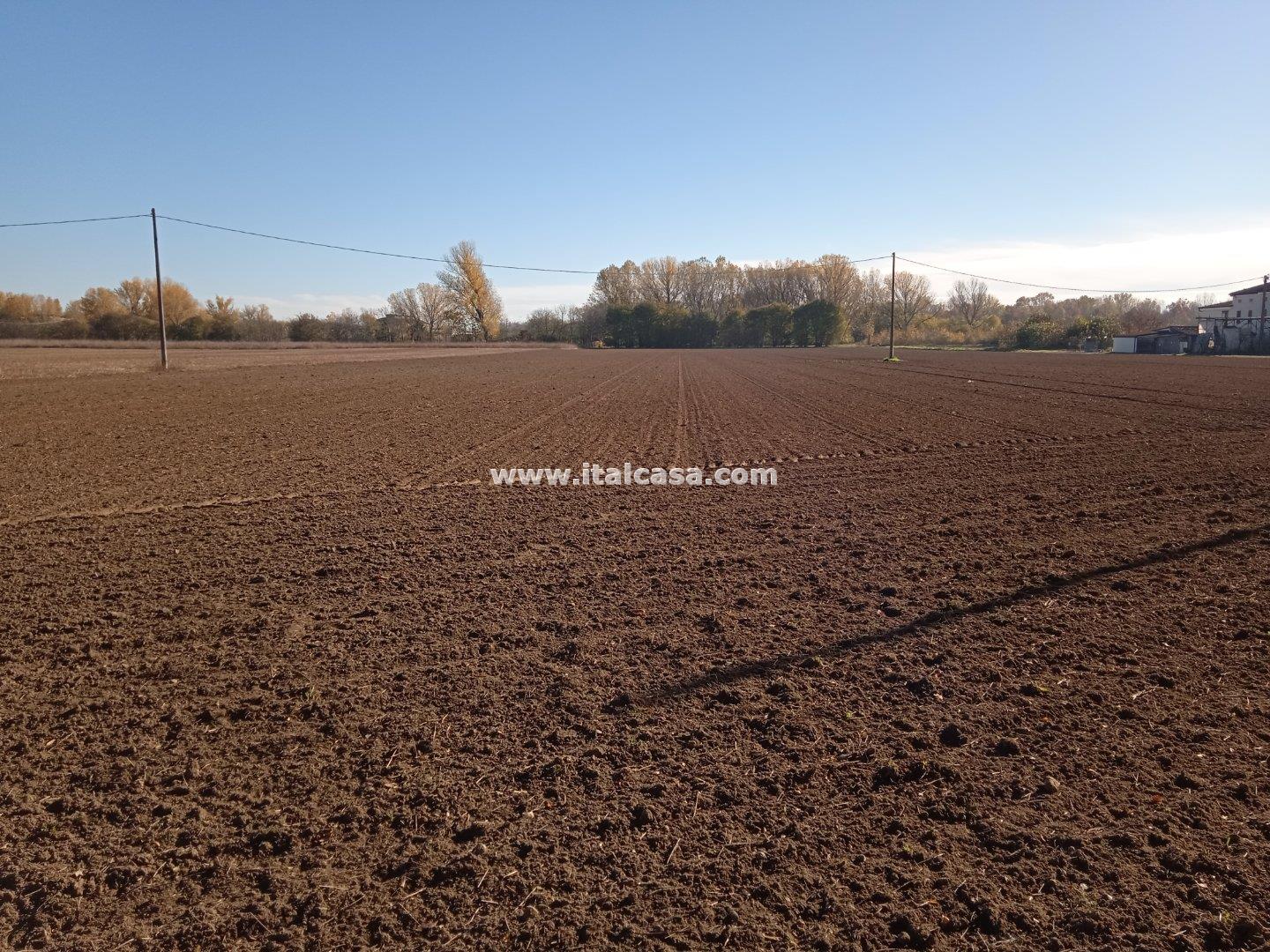 Terreno Agricolo in vendita a Mantova
