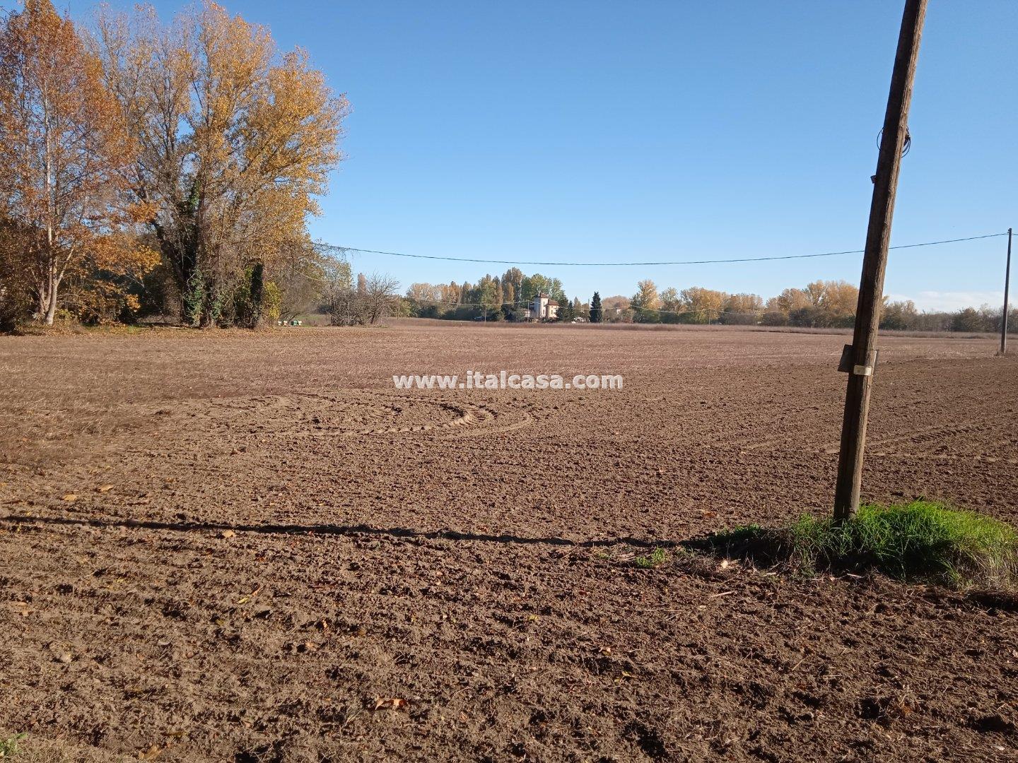 Terreno Agricolo in vendita a Mantova