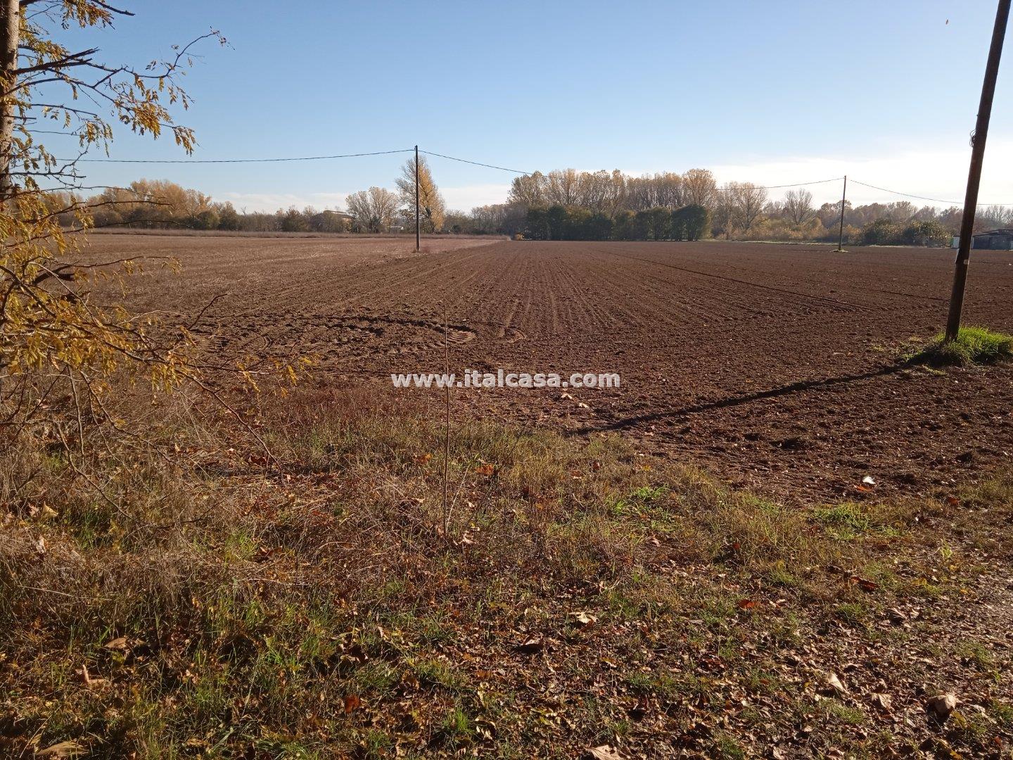 Terreno Agricolo in vendita a Mantova