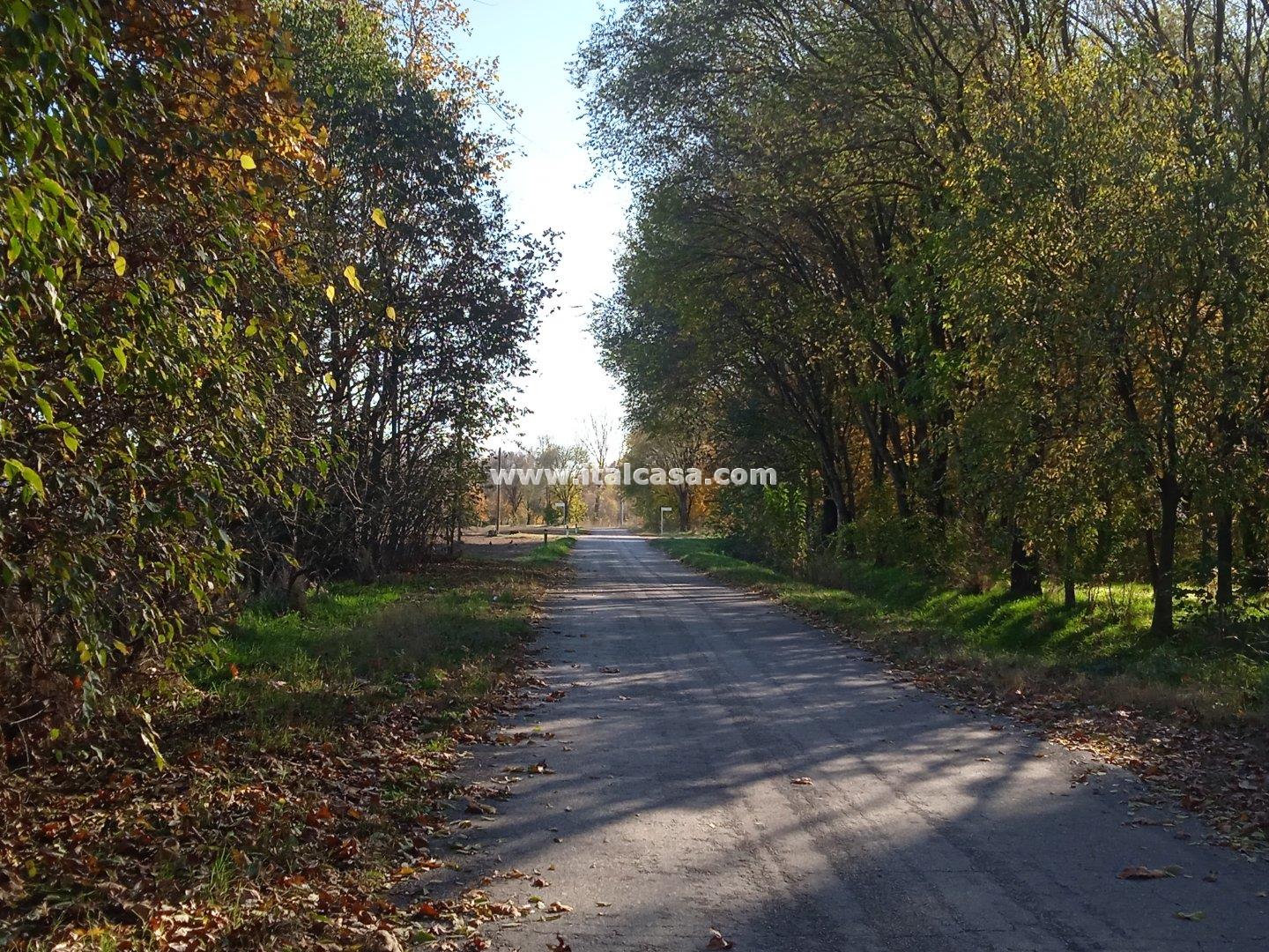Terreno Agricolo in vendita a Mantova