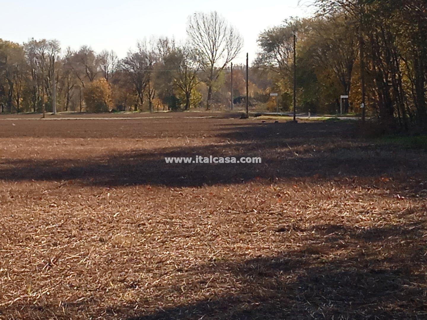 Terreno Agricolo in vendita a Mantova